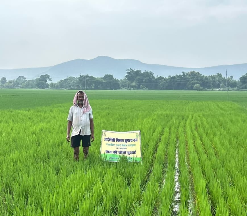 Climate Resilience